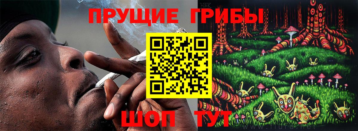 Сорочинск  Псилоцибиновые грибы мухоморы  Галлюциногенные грибы Magic Shrooms  Вход с VPN 