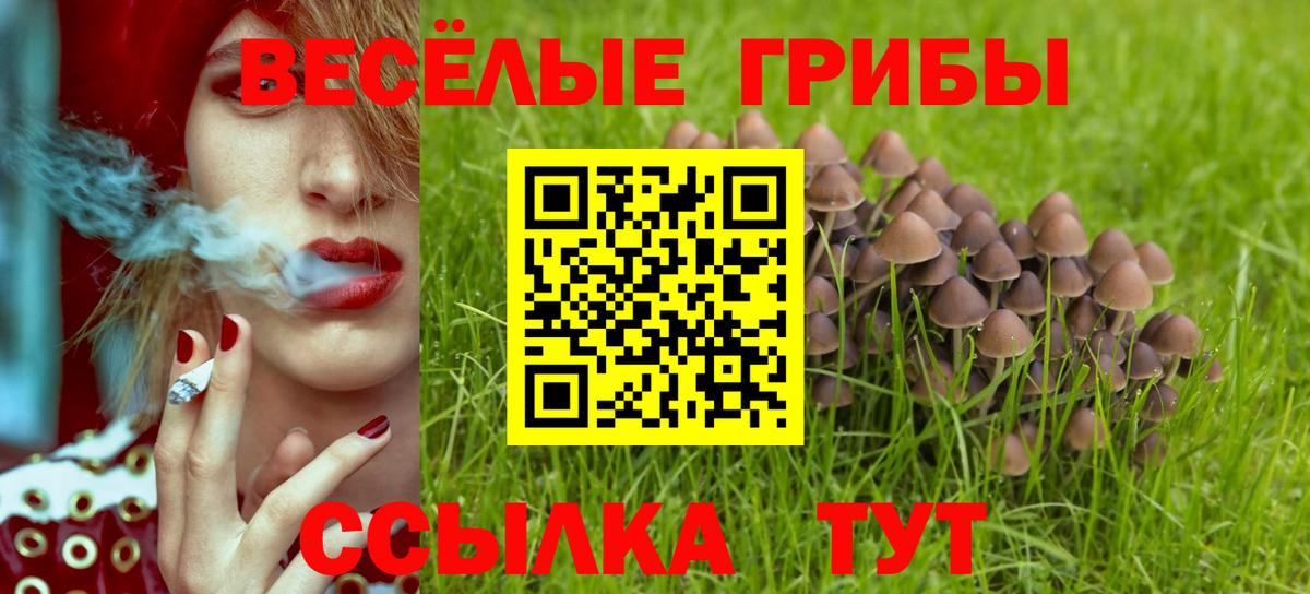 Псилоцибиновые грибы мухоморы Сорочинск
