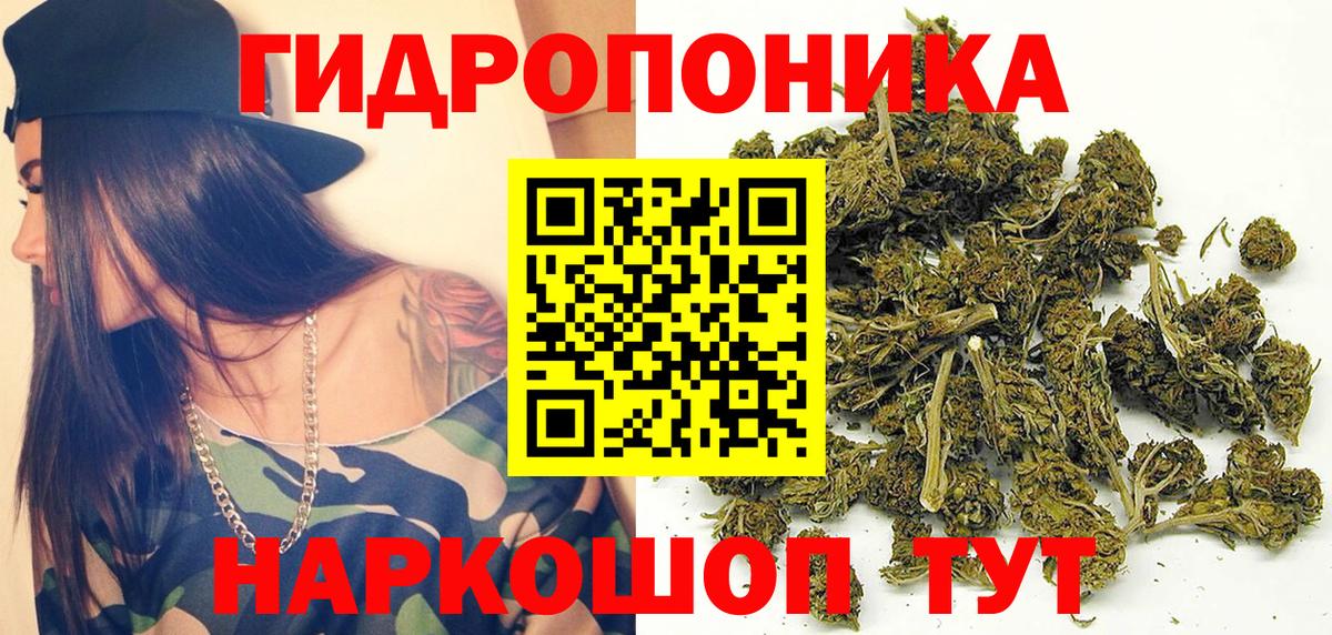 Марихуана сатива Сорочинск